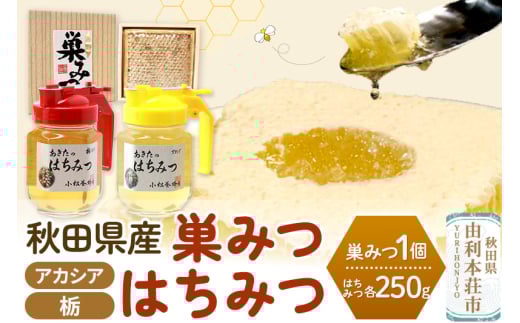小松養蜂場 はちみつ 秋田県産 100％ 巣みつ(アカシア)  +アカシア・栃はちみつ各 250g セット 376417 - 秋田県由利本荘市