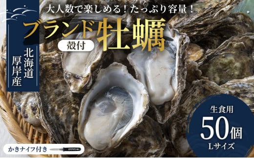 パーティー用　北海道厚岸産牡蠣　Lサイズ50個入（目安：10人前） [№5863-0300]