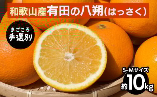 【まごころ手選別】有田のはっさく【八朔】約10kg　S～Mサイズ ※2026年1月上旬～3月下旬頃に順次発送予定