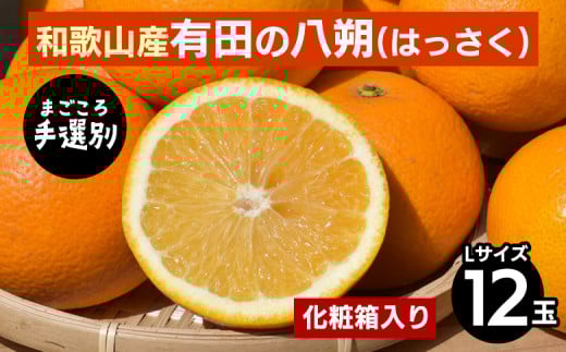 【まごころ手選別】和歌山産有田のはっさく　化粧箱　Lサイズ12個入り ※2026年1月上旬～3月下旬頃に順次発送予定