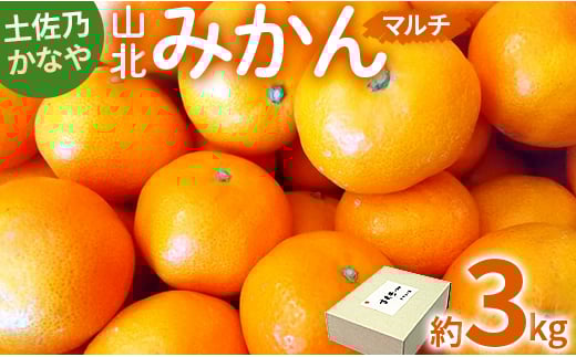 【3kg】みかん 土佐乃かなや マルチ 山北みかん - 柑橘 ミカン 果物 フルーツ のし かなや農園 合同会社Benifare be-0062 425358 - 高知県香南市