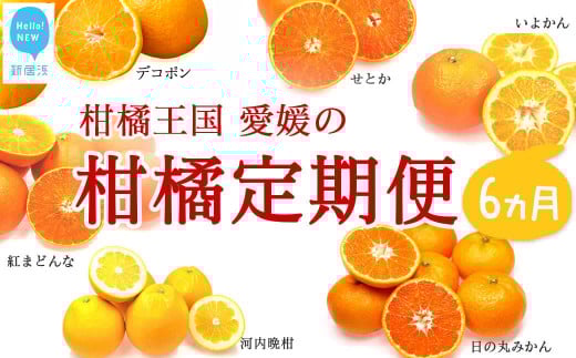 [定期便]フルーツ 果物 みかん かんきつ 柑橘定期便 6か月[期間限定:10月31日まで][発送期間限定:11月〜4月] 柑橘王国 愛媛