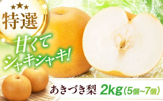 【先行予約】【2025年9月中旬から順次発送】特選 あきづき 梨　愛媛県大洲市/幸野観光なし園 [AGBD008] 梨 なし ナシ 果物 フルーツ 784583 - 愛媛県大洲市