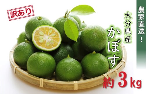 【先行予約】【訳あり】【選べる容量】農家直送！竹中農園 かぼす 約3kg_2473R-2