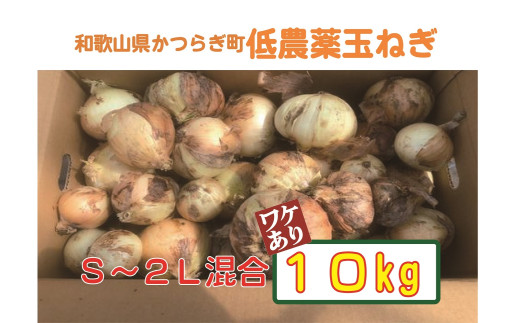 【訳あり】 農家さん直送 低農薬玉ねぎ 約10kg S～2Ｌ混合【ご家庭用※傷有り】【4月中旬～7月中旬発送予定】 902597 - 和歌山県かつらぎ町