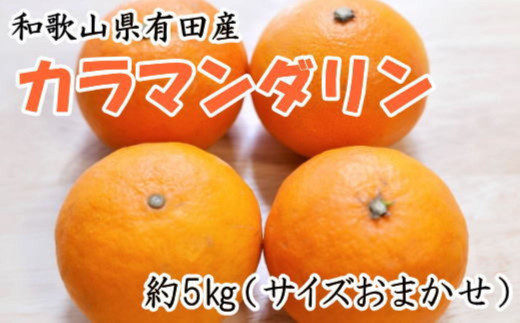 【春みかん】和歌山有田産 カラマンダリン 約5kg サイズおまかせ ★2026年４月より順次発送 ［TM209］ 2095911 - 和歌山県和歌山市