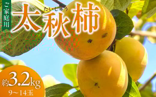 【訳あり品】【10月より順次発送】池尻農園　太秋柿　9～14玉　約3.2kg　ご家庭用_【訳あり品】 太秋柿 9～14玉 約3.2kg 【10月より順次発送】 ご家庭用 柿 甘柿 甘い 条紋が多いほど甘い柿 食味に影響なし 10月最盛期 完全甘柿 早生品種 大玉 甘みが強い シャキシャキな食感 種が少ない 子供でも 食べやすい 福岡県 久留米市 送料無料_Fk016