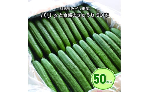 【71】パリッと食感のきゅうり50本 324954 - 群馬県みどり市
