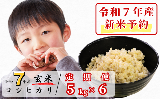 《令和7年産新米予約・10月ごろよりお届け開始》【6回定期便】玄米 5kg 令和7年産 コシヒカリ 岡山 あわくら源流米 K-ab-CECA 1973742 - 岡山県西粟倉村