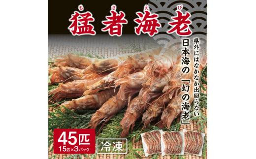 猛者海老 15匹×3パックセット【山根商店】 817640 - 鳥取県鳥取市