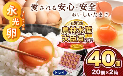 ＼ 2週間以内 に発送 ／ メディア紹介多数！ 永光卵 【 40個 】 卵 たまご トレイ | スピード発送 送料無料 えいこうらん 光永ファーム みつなが おいしい卵 卵かけごはん プリン ゆうパック 君津市 きみつ 千葉県 すぐ届く 2033300 - 千葉県君津市
