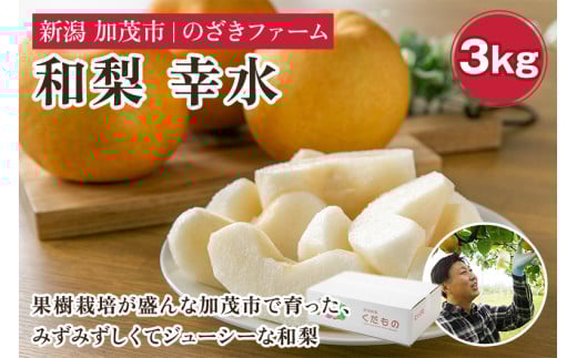 新潟県加茂市産 和梨 幸水3kg（5～9玉）〈8月上旬～順次出荷〉 なし ナシ こうすい 果物 フルーツ 秋の味覚 加茂市 のざきファーム