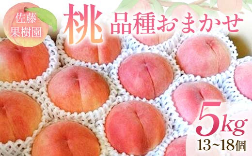 桃 品種おまかせ 5kg 13～18個 もも 贈答 プレゼント ＜佐藤果樹園＞ モモ 桃 デザート フルーツ 果物 F7X-0282 2143106 - 福島県須賀川市