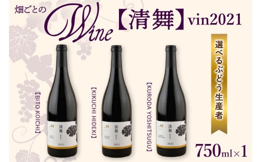 [選べる単品/定期便]北海道十勝芽室町 清舞 vin2021 me032-064c-o