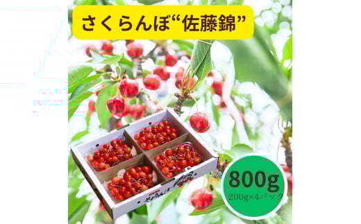 さくらんぼ(佐藤錦)800g ご家庭用 0055-2501 881019 - 山形県上山市