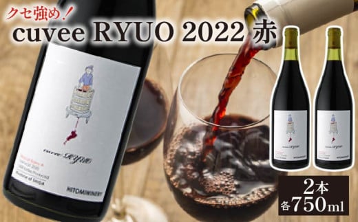 ワイン 2本 セット cuvee RYUO 2022 キュベリュウオウ 2本 セット 750ml × 2本 赤 ワイン ライト ボディ 辛口 マスカット ベリー ギフト 日本ワイン 酒  プレゼント 贈り物 ギフト ヒトミワイナリー お酒 地酒 果実酒 ぶどう酒 葡萄酒 滋賀 竜王町 送料無料 1019146 - 滋賀県竜王町