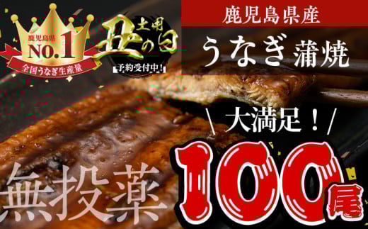 ＜丑の日先行予約受付中！＞鹿児島県産うなぎ蒲焼 (1尾あたり136ｇ～155ｇ×100尾、タレ・山椒付き) 鰻 かばやき 冷凍【西日本養鰻】P5-U