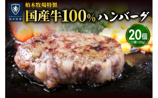 [ジュワッと肉汁まで美味い！] 柏木牧場特製 国産牛100%ハンバーグ (120g×20個)｜伊勢原市 牛肉 特製 ギフト 神奈川県 贈り物 人気 お土産 正月 肉の日 バーベキュー パーティ 冷凍便 惣菜 肉 焼くだけ 牛肉100％ 国産 [0068]