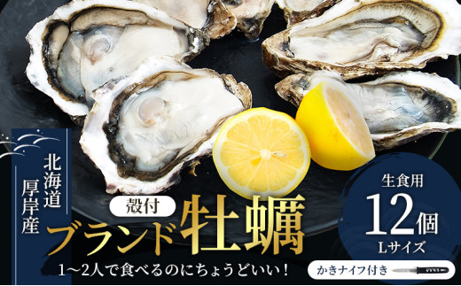 北海道厚岸産 牡蠣 Lサイズ 1ダース（12個入り） 生食用 [№5863-0301]
