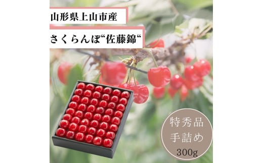さくらんぼ(佐藤錦)300g 手詰め 特秀品 0055-2502 881020 - 山形県上山市
