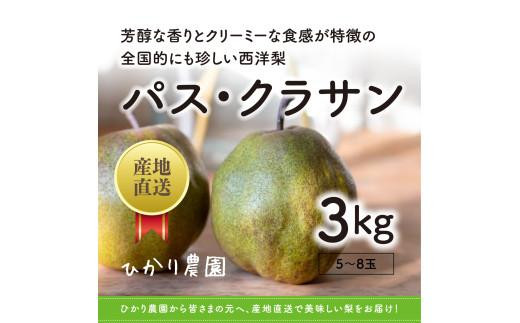 完熟こだわりパス・クラサン 3キロ（ひかり農園） 1556015 - 鳥取県鳥取市