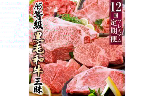 定期便(12回)鹿児島県産A5等級黒毛和牛三昧 JJ-0017_ 肉 お肉 牛肉 霜降り シャトーブリアン 赤身 ブロック 切り落とし サーロイン ステーキ 焼肉 すき焼き すきやき しゃぶしゃぶ 人気 送料無料 【1166761】