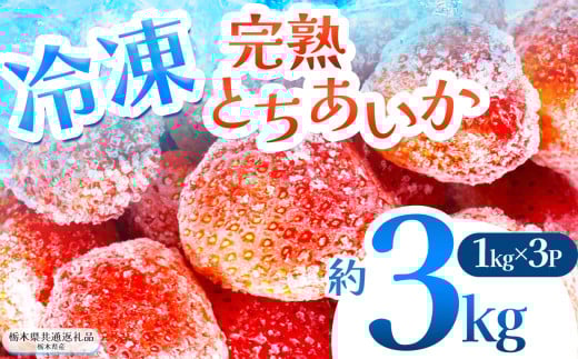 【栃木県共通返礼品】完熟冷凍とちあいか 3kg | いちご とちあいか 冷凍 冷凍イチゴ スイーツ ジャム スムージー たっぷり 大粒 甘い 美味しい 果物 デザート 栃木県 那珂川町 送料無料 2095877 - 栃木県那珂川町
