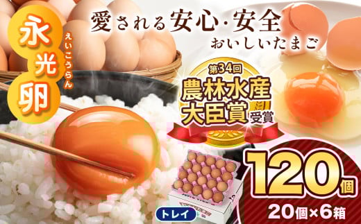 ＼ 2週間以内 に発送 ／ メディア紹介多数！ 永光卵 【 120個 】 卵 たまご トレイ | スピード発送 送料無料 えいこうらん 光永ファーム みつなが おいしい卵 卵かけごはん プリン ゆうパック 君津市 きみつ 千葉県 すぐ届く 2033303 - 千葉県君津市