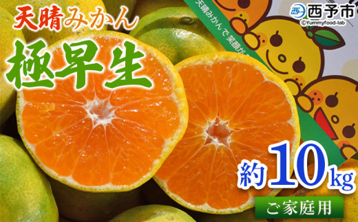 ＜天晴みかん 極早生 家庭用 約10kg＞ 温州 柑橘 果物 くだもの フルーツ ミカン 蜜柑 訳あり ワケアリ 自宅用 期間限定 季節限定 食べて応援 特産品 産地直送 愛媛県 西予市【常温】 1041093 - 愛媛県西予市