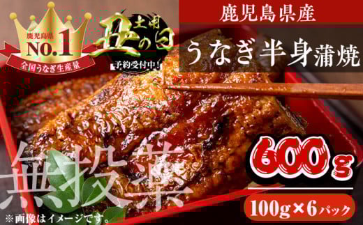 ＜丑の日先行予約受付中！＞鹿児島県産うなぎ半身カットセット (100g×6パック、タレ・山椒付き) 鰻 かばやき 冷凍【西日本養鰻】A586-U