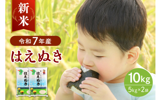 【令和7年産米】2025年11月中旬発送 はえぬき10kg（5kg×2袋）山形県産 【JAさがえ西村山】