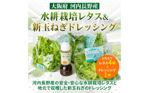 とれたてレタスと玉ねぎドレッシングセット サラダ 副菜 常備野菜 炒め物 スープ チャーハン 鍋料理 巻物 冷製料理 朝食 昼食 夕食 付け合わせ サンドイッチ ハンバーガー お弁当 ダイエット