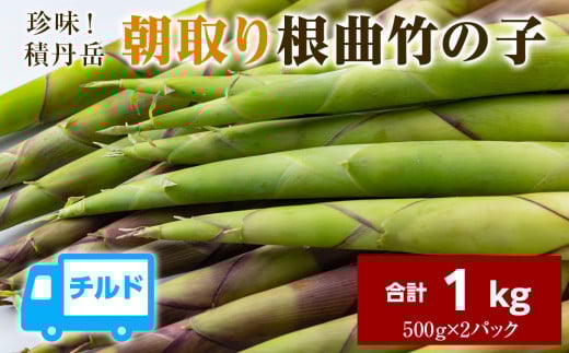 珍味積丹岳根曲竹の子1kg（500g×2パック）