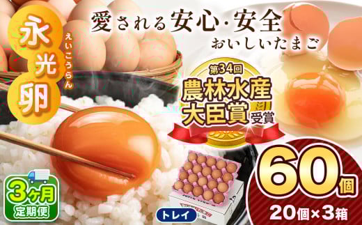 【 定期便 3回 】メディア紹介多数！ 永光卵 60個 卵 たまご 選べる 個数 回数 トレイ タイプ | 送料無料 えいこうらん 光永ファーム みつなが おいしい卵 プリン オムライス ゆうパック 君津市 きみつ 千葉県 2033312 - 千葉県君津市