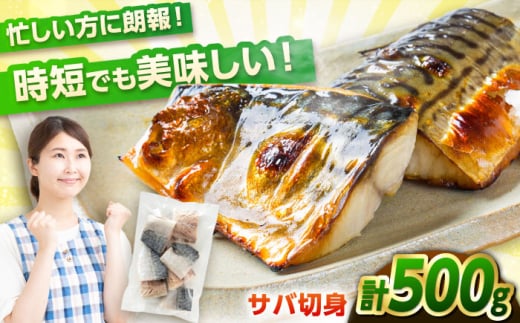 サバ 切身 500g|冷凍 鯖 さば 切り身 福井 福井県 小浜市 個包装 500g パック 塩 海鮮 焼き魚 [配送不可地域:北海道・沖縄・離島] [BFCS012]