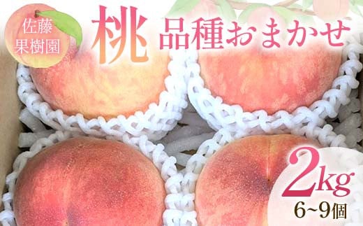 桃 品種おまかせ 2kg 6～9個 もも 贈答 プレゼント ＜佐藤果樹園＞ モモ 桃 デザート フルーツ 果物 F7X-0280 2143104 - 福島県須賀川市