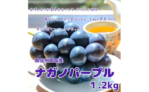 【南信州高森産】ナガノパープル 約1.2kg＜8月中旬より発送＞ 1302166 - 長野県高森町