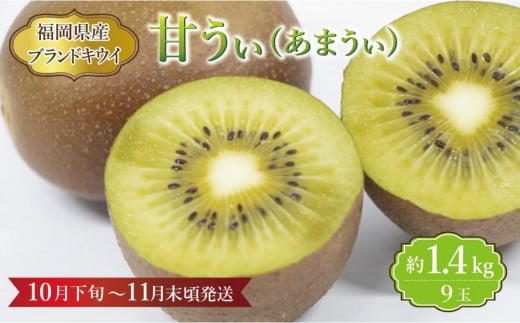 【福岡県産】キウイ『甘うぃ』 約1.4kg 1430512 - 福岡県大川市