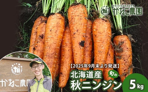 [2025年9月末より発送]北海道産 旬の秋ニンジン 5kg [かねこ農園]