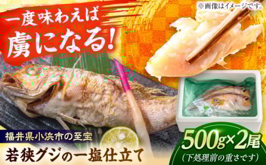 若狭グジの一塩仕立て 500g×2尾  【配送不可地域：北海道・沖縄・離島】  [BFCS002]  1394190 - 福井県小浜市