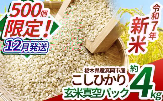 【先行予約】【ふるさと納税】いちご農家さん応援米！令和7年度新米 真岡市産こしひかり（玄米真空パック) 約2kg×2 | 新米 真岡市産 こしひかり 真空 パック 米  お米 玄米 もちもち  限定 ふるさと納税 先行 予約 栃木県 真岡市 送料無料 