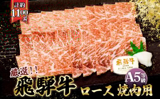 店主こだわり雌牛 飛騨牛A5等級　ロース　焼き肉用　約1.1kg [No.085] ／ 牛肉 ブランド牛 やきにく 焼肉 メス牛 冷凍 岐阜県 特産 727570 - 岐阜県山県市