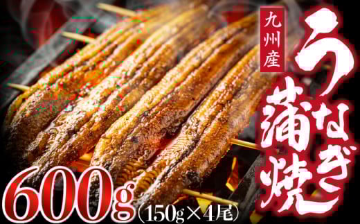 うなぎ蒲焼 国産 150g × 4尾 (有頭) 蒲焼き ウナギ 鰻 鹿児島県産 人気 オススメ 宮若市 M778-2 2093043 - 福岡県宮若市