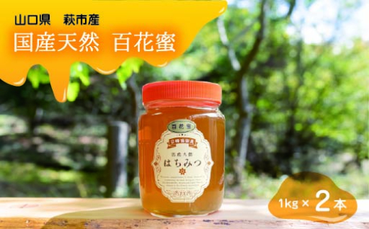 純粋天然　百花はちみつ　1kg×2本　｜HG001063