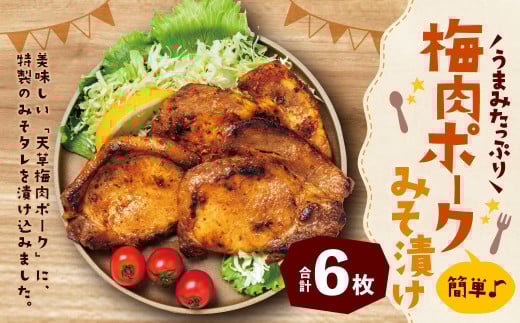 簡単♪うまみたっぷり！梅肉ポークみそ漬け 6枚入 豚肉 ポーク 肉 お肉 梅肉 梅 味噌 みそ 味付き 九州 熊本県 上天草市 冷凍 2070380 - 熊本県上天草市