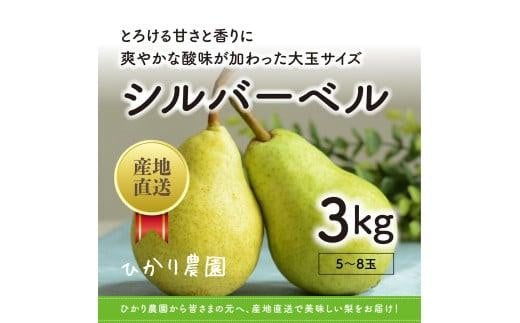 完熟こだわりシルバーベル 3キロ（ひかり農園） 1556014 - 鳥取県鳥取市