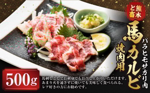 C51U【熊本と畜】馬カルビ焼肉用（バラヒモサガリ肉）500g 馬肉 肉 焼肉 冷凍 熊本県 上天草市 2000675 - 熊本県上天草市