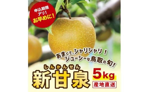 新甘泉 5キロ【安田農園】