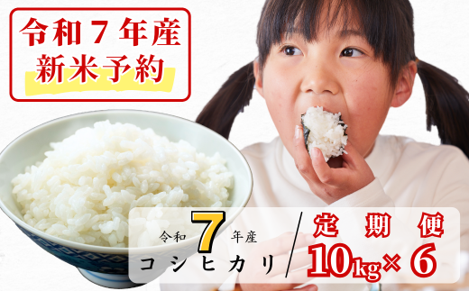 [令和7年産新米予約・10月ごろよりお届け開始][6回定期便]白米 10kg 令和7年産 コシヒカリ 岡山 あわくら源流米 K-ag-CECA