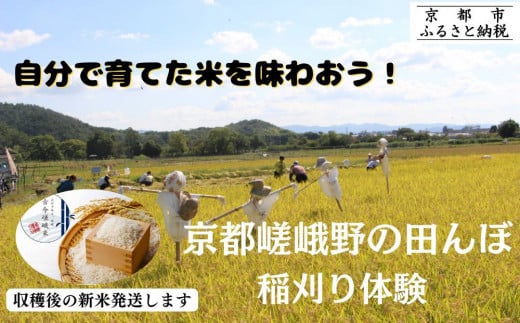[9/7(日)予定/京都嵯峨野] 田んぼで稲刈り体験[アドプランツコーポレーション][ 京都 米 収穫 稲刈り体験 田植え 体験 人気 おすすめ 嵯峨野 有機栽培 ふるさと納税 ]